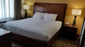 Hilton Garden Inn Olathe - Chambre