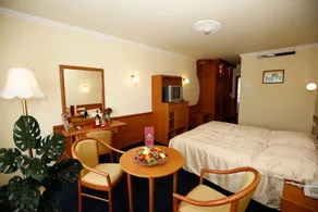 Hotel Korona Wellness, Rendezvény és Borszálloda - Room
