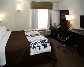 Sleep Inn Horn Lake-Southaven - Chambre