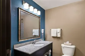 Comfort Inn & Suites Springfield I-55 - Salle de bain