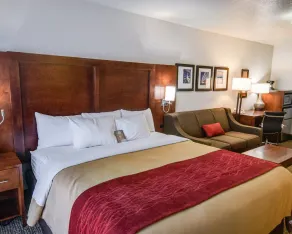 Comfort Inn Redding Near I-5 - Rum