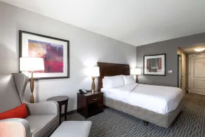 Hilton Garden Inn Lynchburg - Chambre