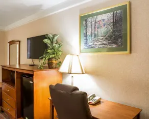 Econo Lodge Knoxville North - Room
