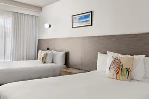 Zebra Motel - Room