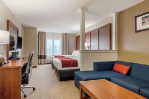 Comfort Suites Speedway - Kansas City - Chambre