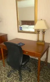 DoubleTree by Hilton Lisle Naperville - Chambre