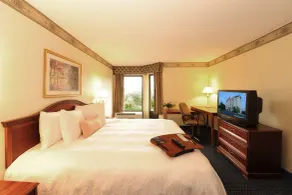 Hampton Inn & Suites Atlanta Galleria - Chambre