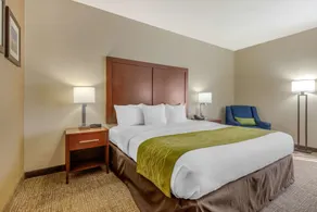 Comfort Inn Lenoir City-Knoxville - Chambre
