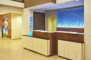 Fairfield Inn and Suites Chicago Lombard - Réception