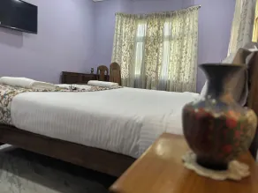 Jan Mahal - Habitación