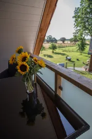 Ferienhaus am Eichenhof Zum Speicher - Sacada