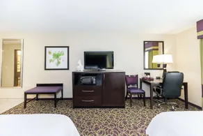 Hampton Inn & Suites Sandusky/Milan - Chambre
