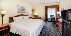 Hampton Inn Spartanburg-North I-85 - Chambre