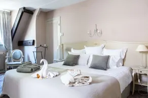 Hôtel Le Maxime Auxerre - Chambre