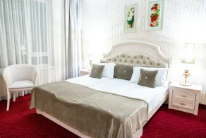 Hotel Carpathia - Room
