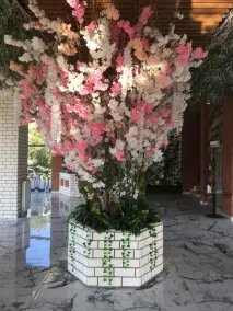 Samsun Palas Hotel - Reception