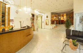 Hotel Sommerau-Ticino - Lobby