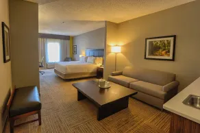 Holiday Inn Express Hotel & Suites Pell City by IHG - Chambre