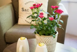 Fountains Guest House - Harrogate Stays with FREE PARKING - Værelse