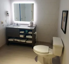 Comfort Inn Edinburgh - Columbus - Baño