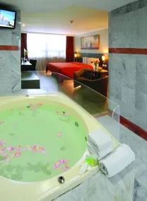 Hotel Benidorm Mexico City - Room