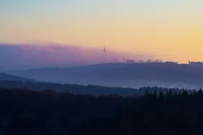 WALDWEIT Rheingau Hotel und Retreat - Ausblick vom Zimmer