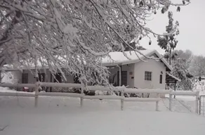 Sycamore Avenue Treehouses & Cottages Accommodation - Zimmer
