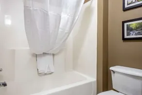Comfort Inn Meadowlands - Salle de bain