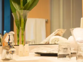 Hotel Primula - Salle de bain