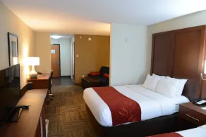 Comfort Suites Urbana Champaign, University Area - Chambre