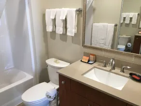 Aspen Suites Hotel Homer - Salle de bain