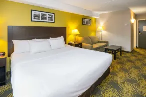 Comfort Hotel & Suites - Værelse