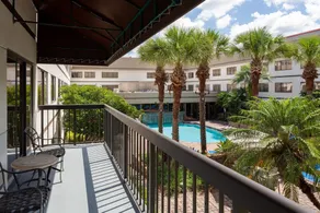 Sheraton Suites Orlando Airport Hotel - Piscine