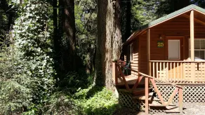 Emerald Forest Cabins - Chambre