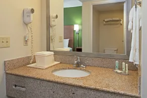 Quality Suites Lake Wright - Norfolk Airport - Salle de bain