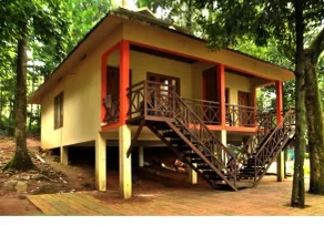 Vythiri Wild Forest Resort - Room