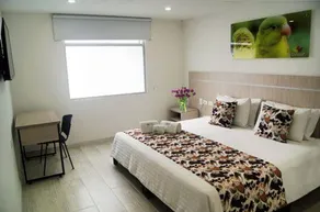 Hotel Cafeira - Room