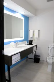 Quality Inn & Suites Buda - Salle de bain