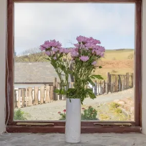 Merlin Cottages - Ausblick vom Zimmer