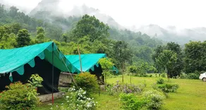 The Raajas - Camp & Resorts - Room