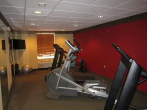 Comfort Inn & Suites Lexington South - Salle de remise en forme