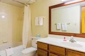 Eco Lodge Inn & Suites Bentonville near I 49 - Badeværelse
