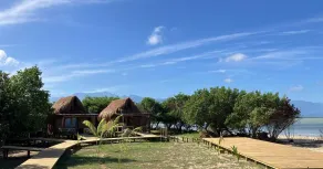Awatawaa Ecolodge - View from room
