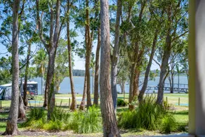 Koala Shores Holiday Park - Utsikt från rummet
