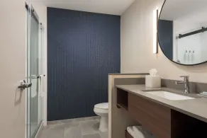 Fairfield by Marriott Inn & Suites Huntsville Madison - Badrum