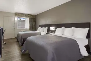 Quality Inn Charleston - West Ashley - Room