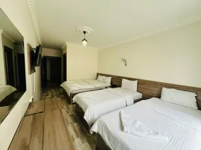 Toprak Hotel - Habitación