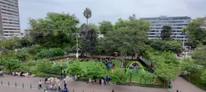Flying Dog Lima B&B - View from room