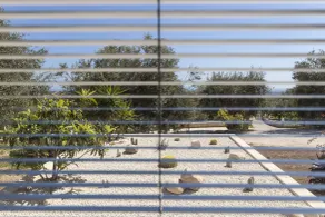Tenuta Olive Alive - Utsikt från rummet