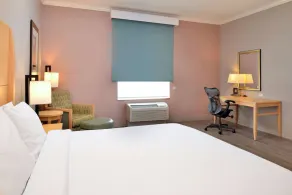 Hilton Garden Inn Denton - Chambre